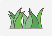 雑草が生い茂ったイメージ