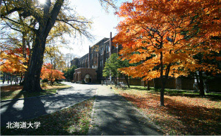 北海道大学