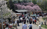 平岡公園