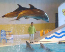 おたる水族館
