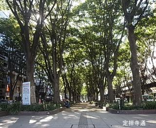八甲田