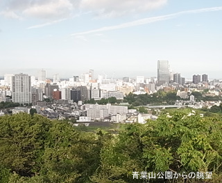 ねぶた祭り